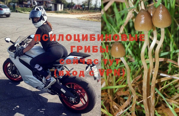 МДМА Богородицк