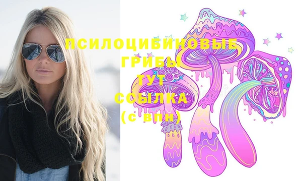 дживик Беломорск